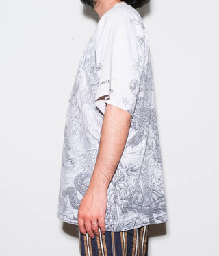 Media 12
