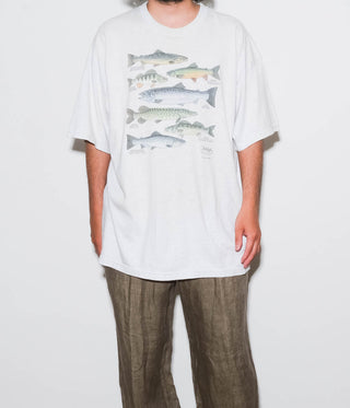 Media 7